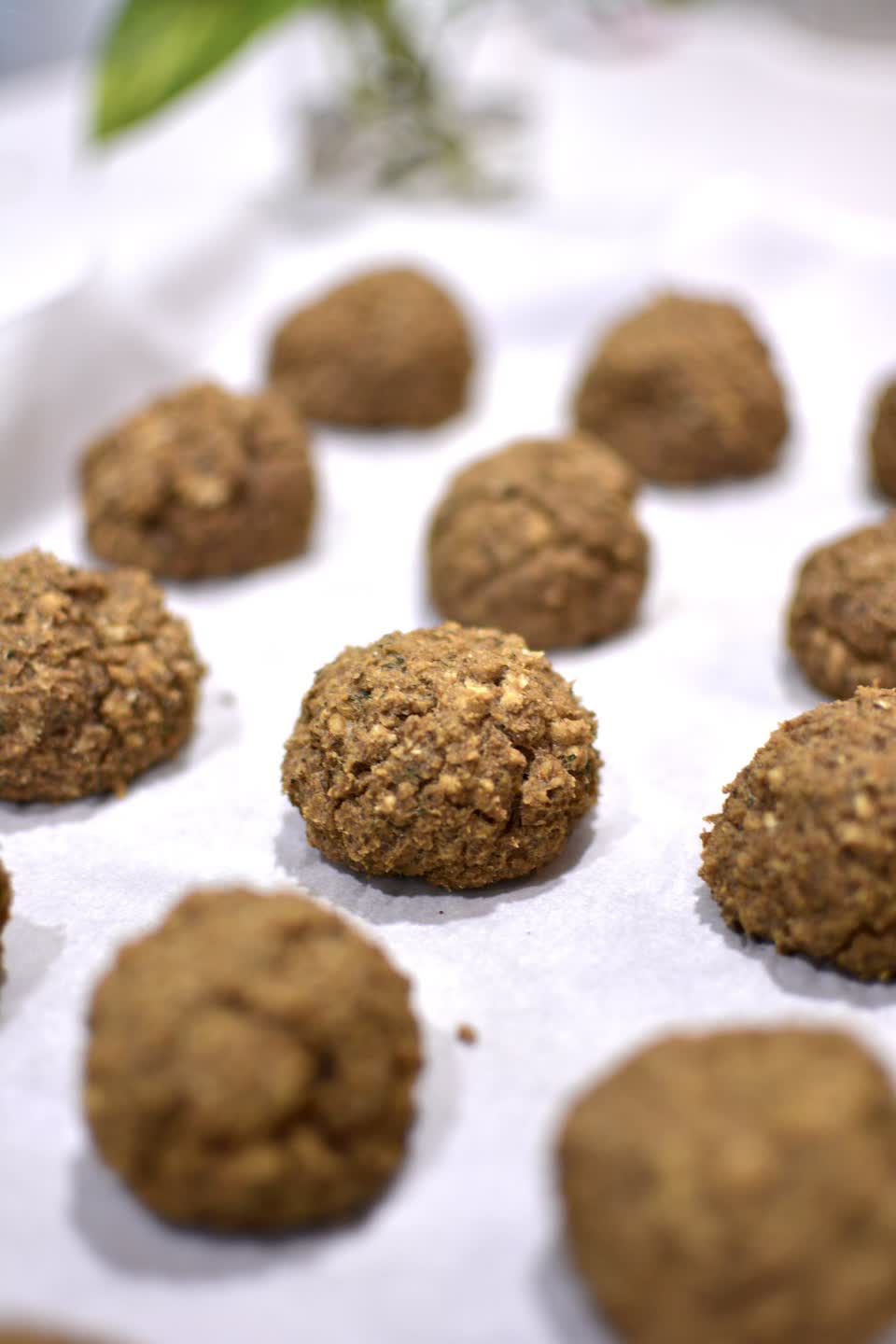 Veggie Lentil and TVP Meatballs