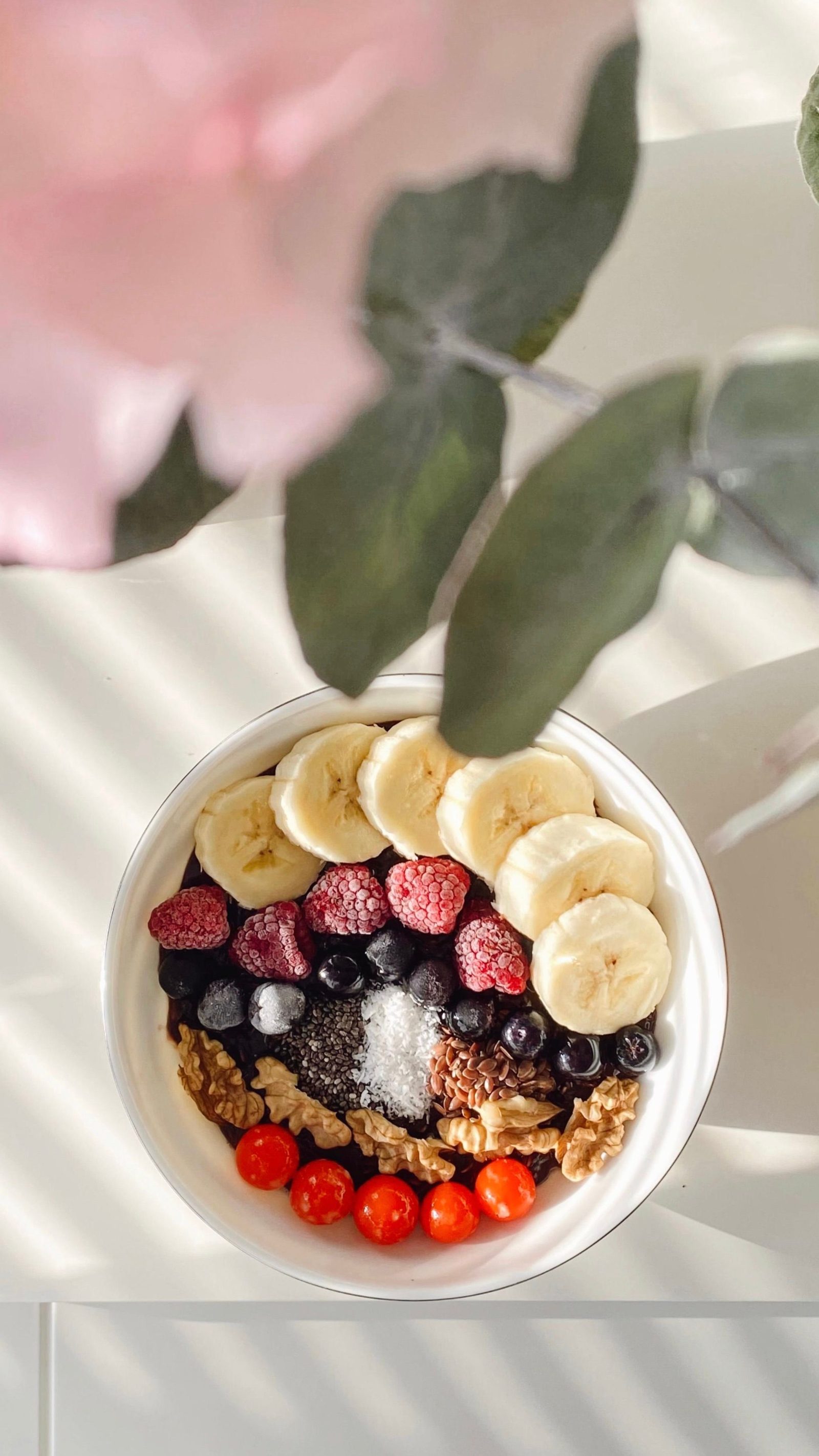 breakfast bowl with fruits and a plant
