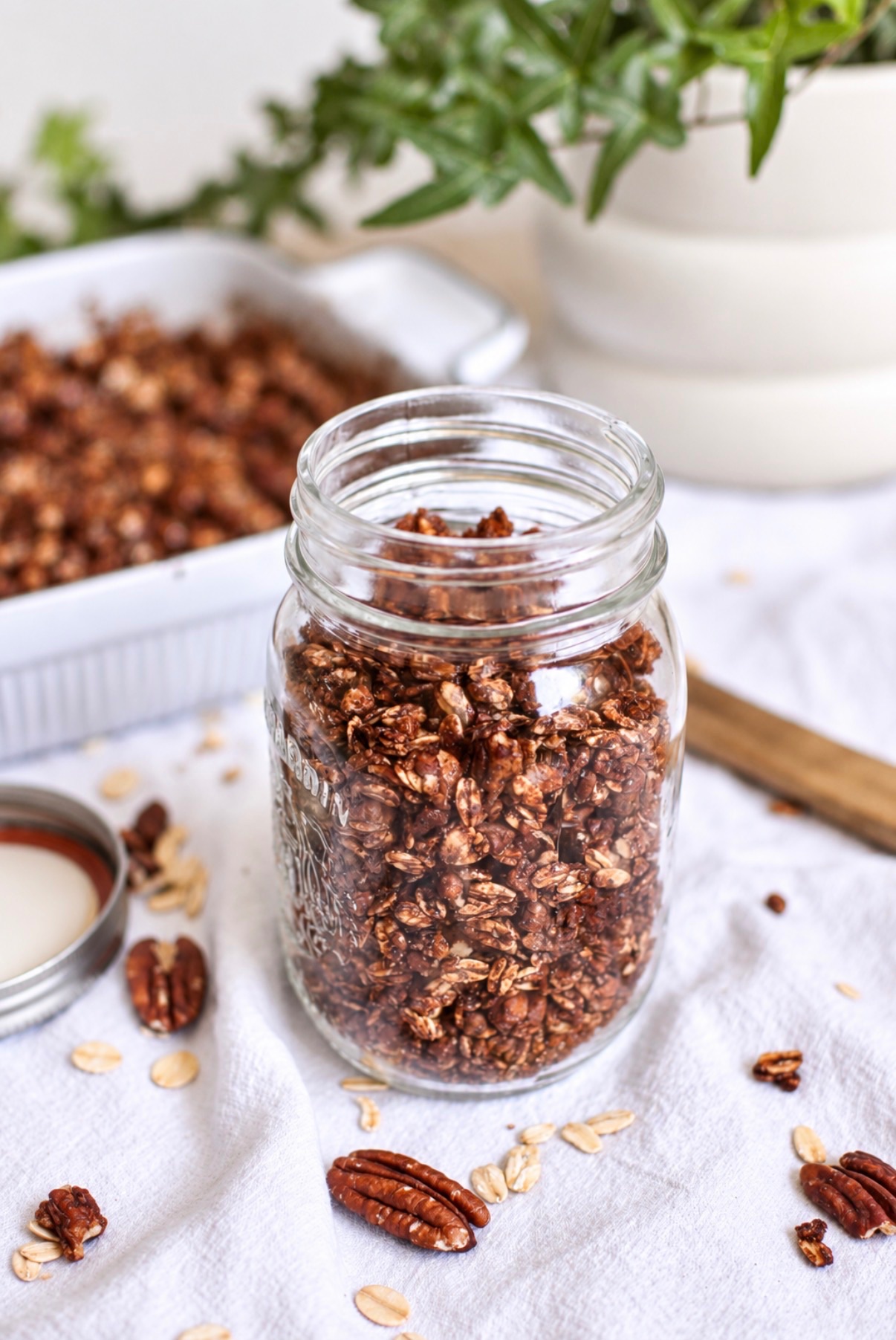 Pecan Brownie Granola